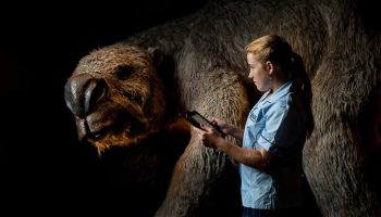 Diprotodon optatum: Jordens største pungdyr
