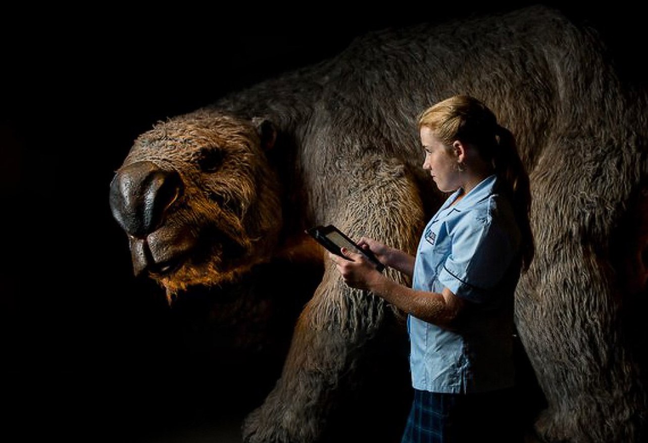 Diprotodon optatum: Jordens største pungdyr