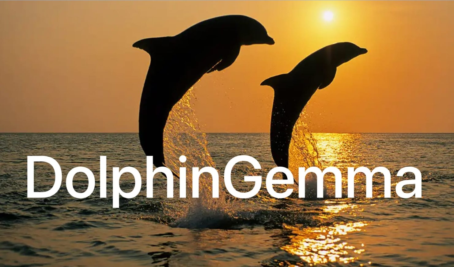 Dialog med dyr bliver virkelighed: DolphinGemma-projektet
