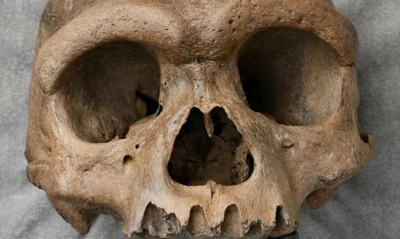 Mysteriet om 'dragemennesket' er løst: forskere har bevist, at det er en af de nærmeste slægtninge til Homo sapiens