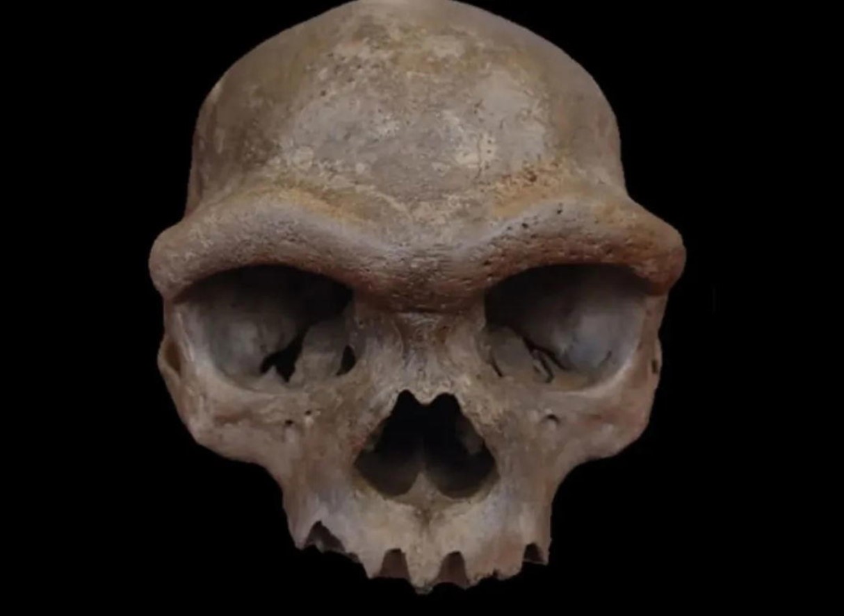 Mysteriet om 'dragemennesket' er løst: forskere har bevist, at det er en af de nærmeste slægtninge til Homo sapiens