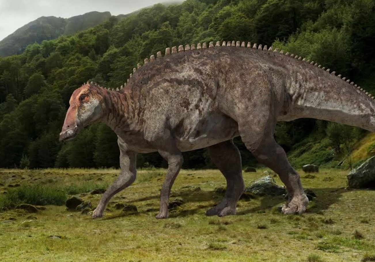 Palæontologer: ny metode kan ændre vores billede af dinosaurernes udseende