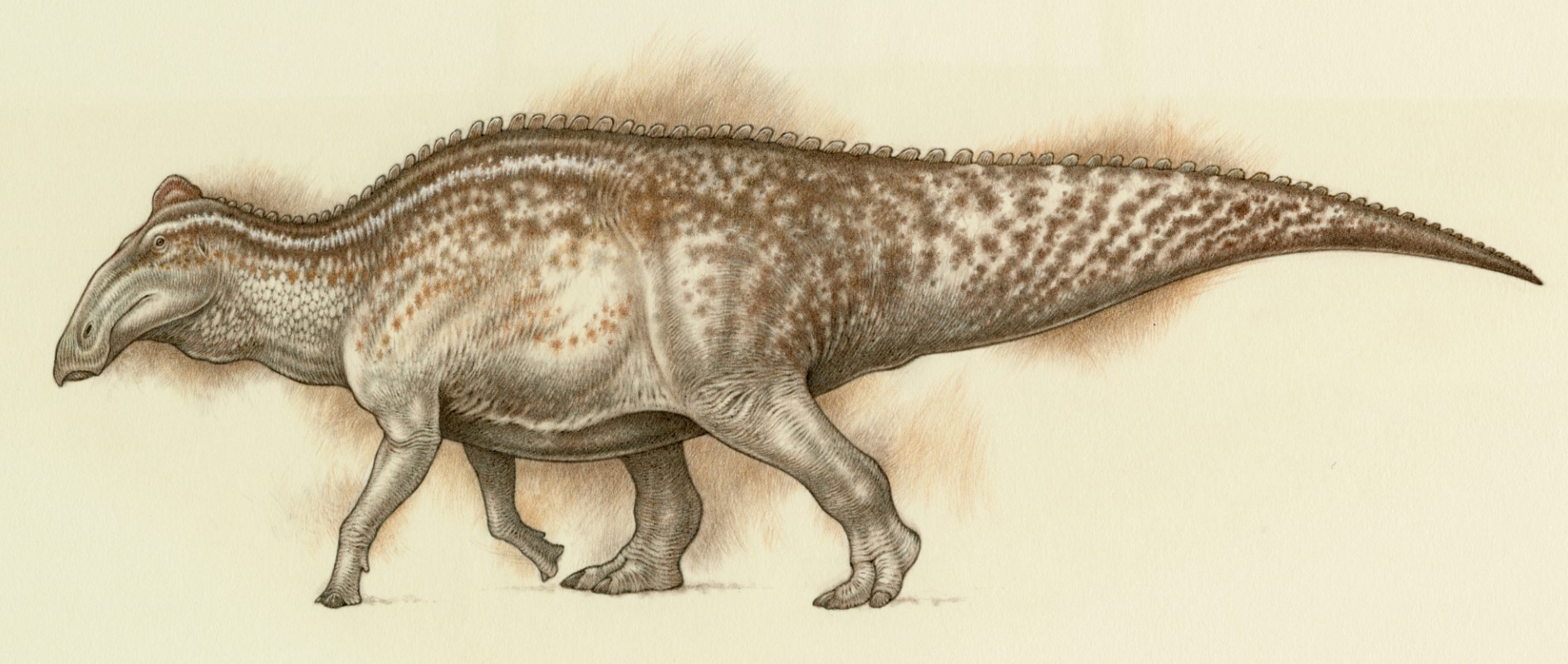 Palæontologer: ny metode kan ændre vores billede af dinosaurernes udseende