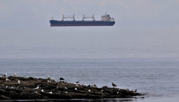 Et fantastisk fænomen: hvad er en Fata Morgana?
