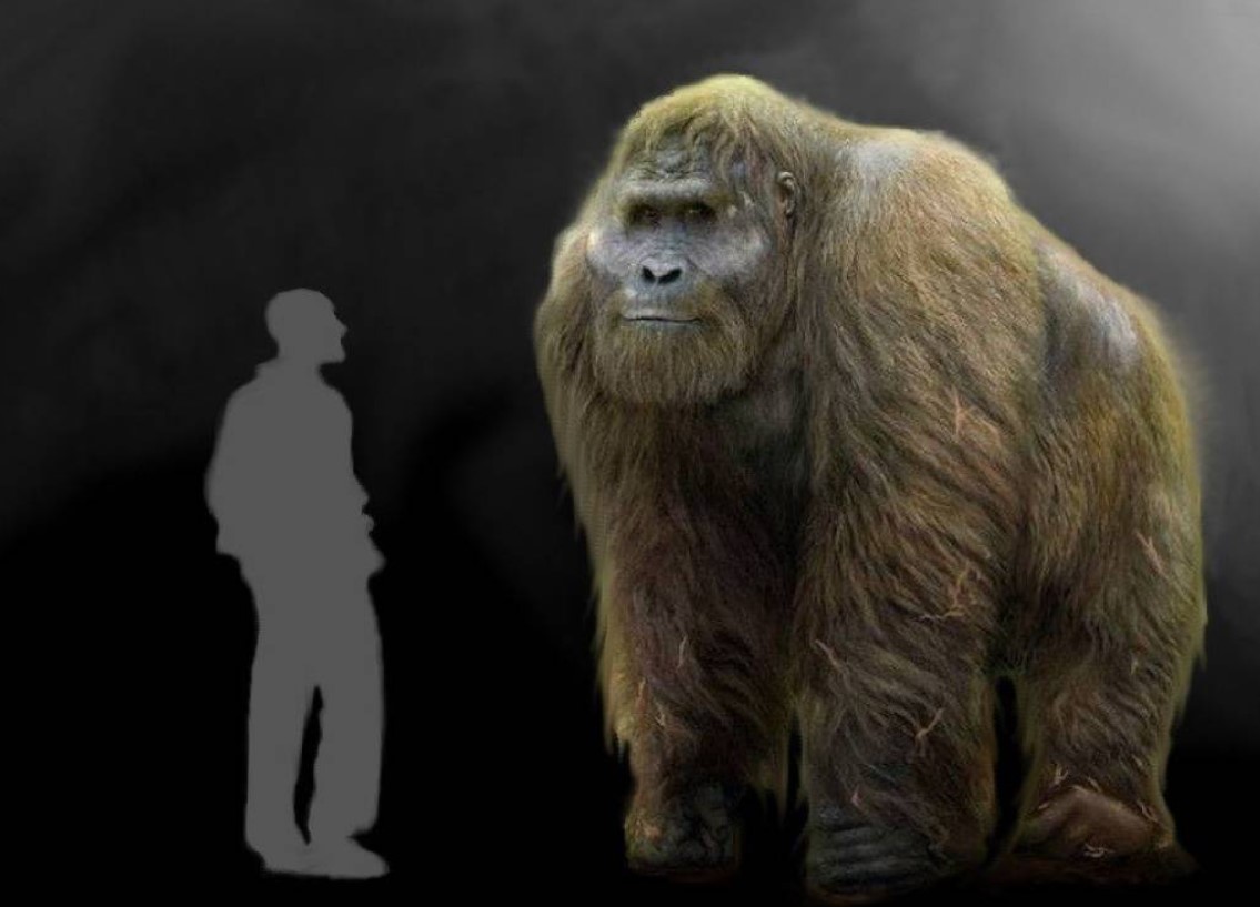 Gigantopithecus