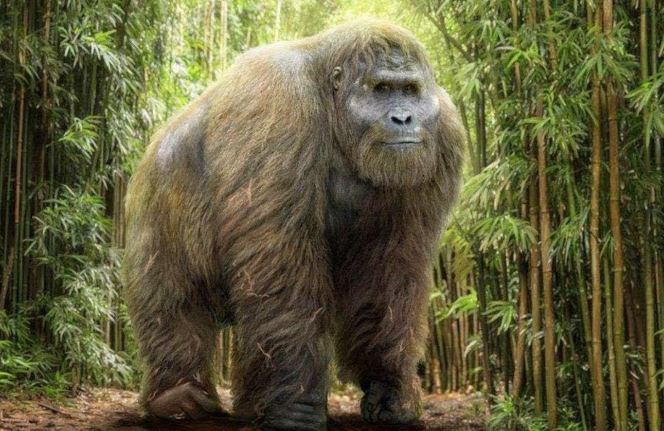 Gigantopithecus