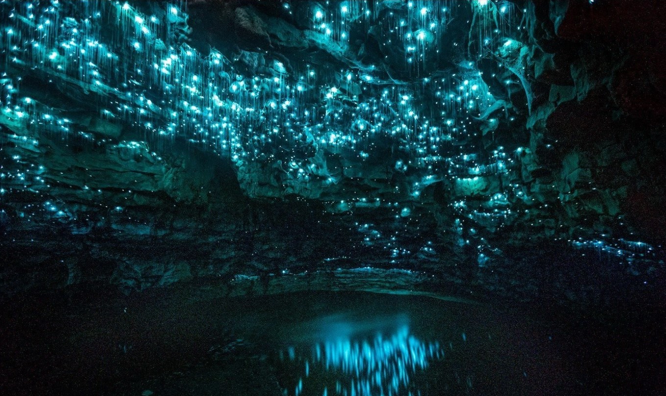 'Jeg håber, at himlen er halvt så sjov': på jagt efter glødende orme i New Zealands Waitomo-grotter
