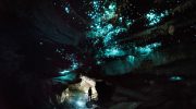 'Jeg håber, at himlen er halvt så sjov': på jagt efter glødende orme i New Zealands Waitomo-grotter