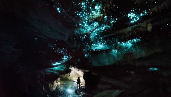 'Jeg håber, at himlen er halvt så sjov': på jagt efter glødende orme i New Zealands Waitomo-grotter