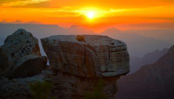 Grand Canyon var vuggen for dyreevolutionen for 500 millioner år siden