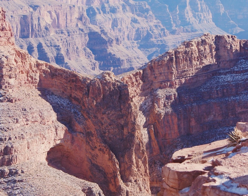 Grand Canyon var vuggen for dyreevolutionen for 500 millioner år siden