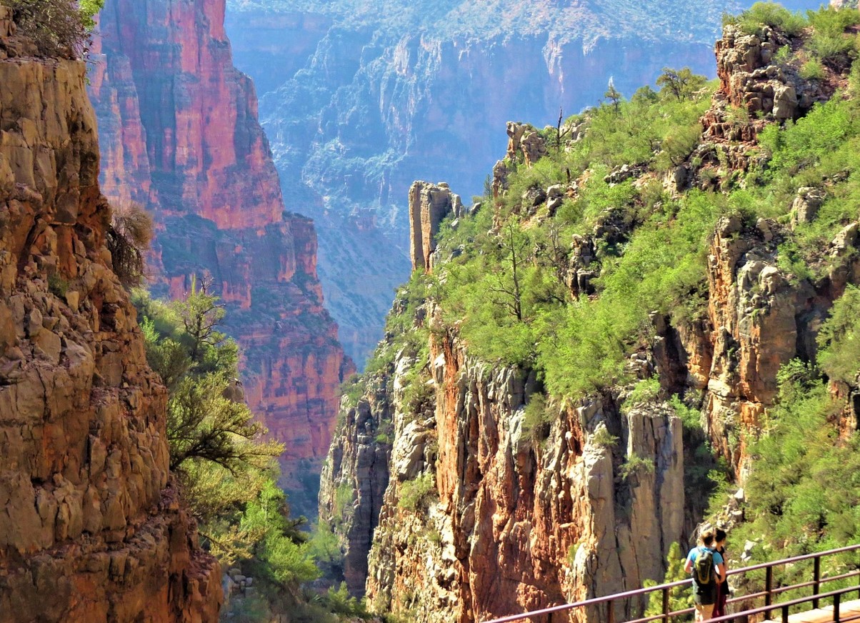 Grand Canyon var vuggen for dyreevolutionen for 500 millioner år siden