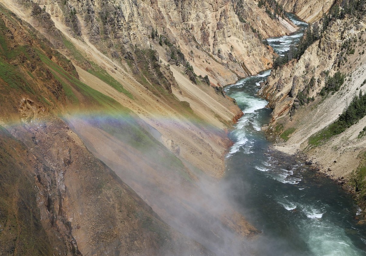 Grand Canyon var vuggen for dyreevolutionen for 500 millioner år siden