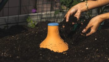 Hvis du altid glemmer at vande dine planter, kan denne potte gøre det for dig