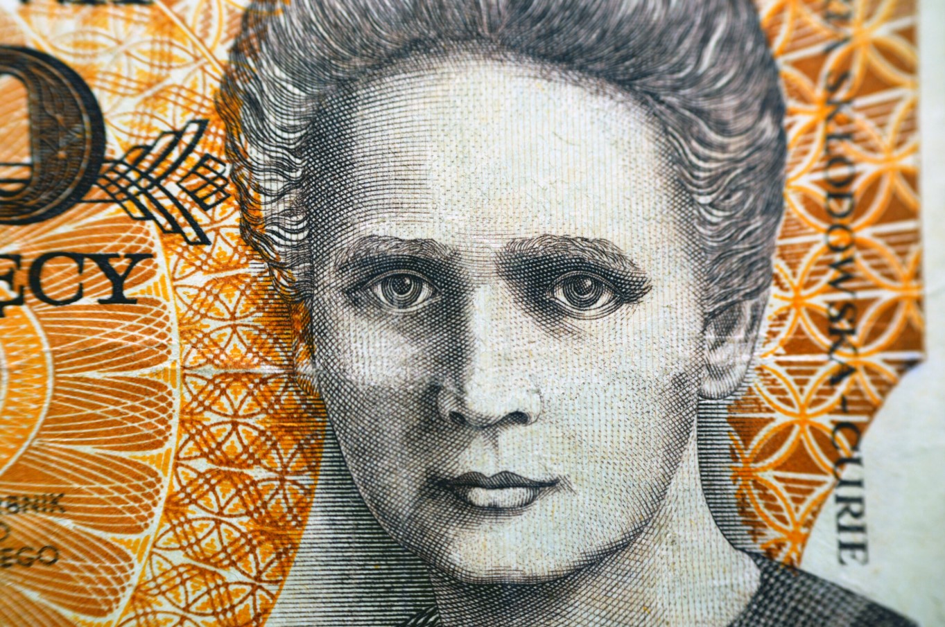Nyt design af 20-euro-sedlen skaber splid mellem Polen og Frankrig