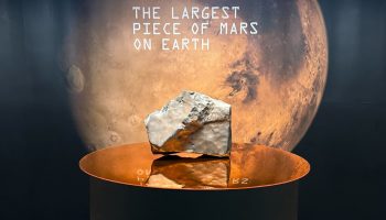 Verdens største Mars-sten kan sælges for 4 millioner dollars på auktion