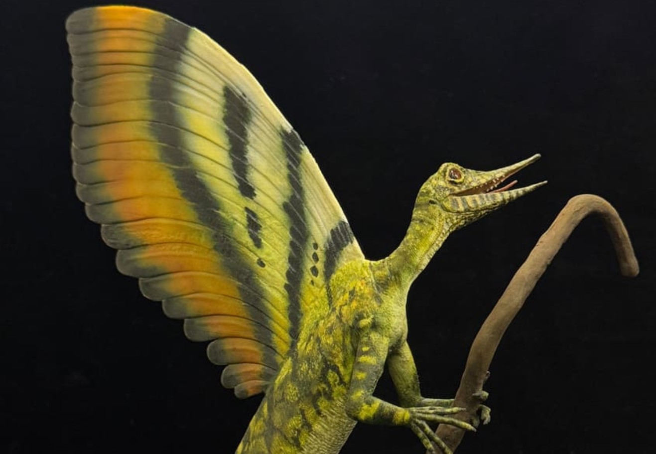 Forskere har fundet rester af et 'forbløffende' krybdyr, der levede før dinosaurierne