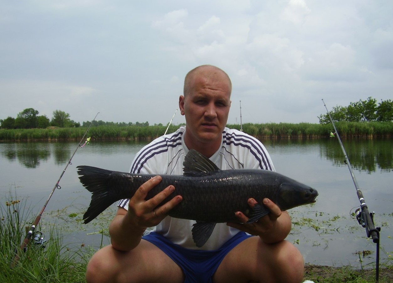 Man kan tjene gode penge. Hundrede dollar for at fange en invasiv fisk fra Rusland