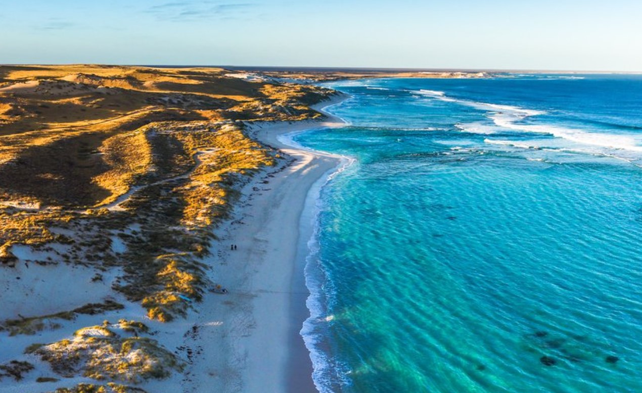 Det bedste og mest bæredygtige sted at snorkle med hvalhajer? Det er Ningaloo i Australien