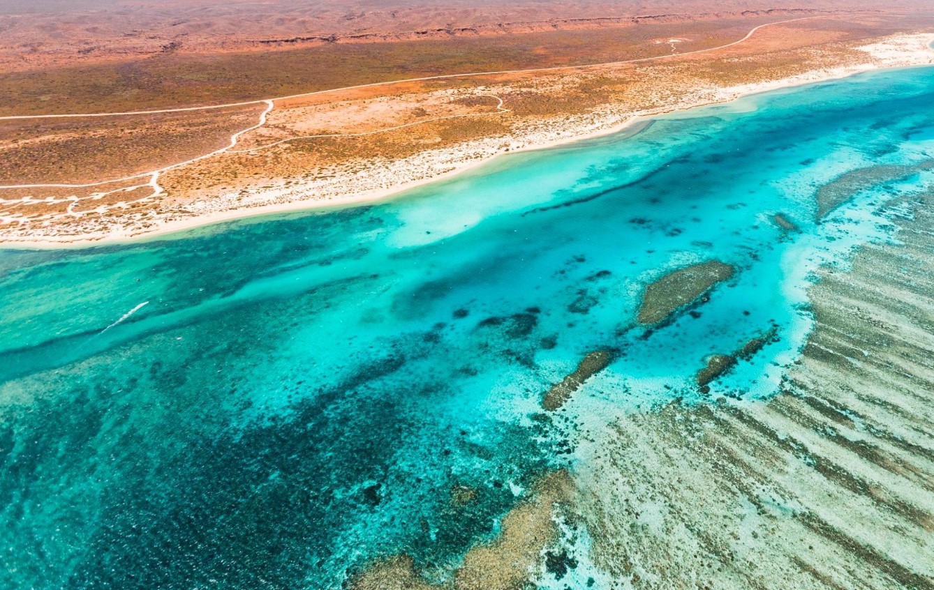 Det bedste og mest bæredygtige sted at snorkle med hvalhajer? Det er Ningaloo i Australien
