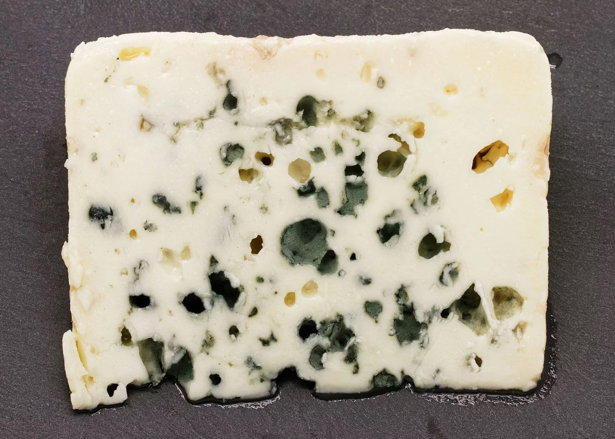 Penicillium Roqueforti