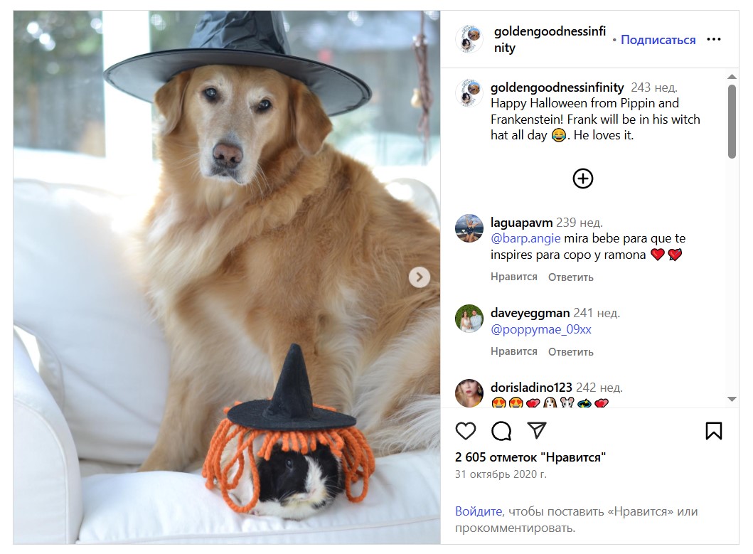 Pippin og Frankenstein