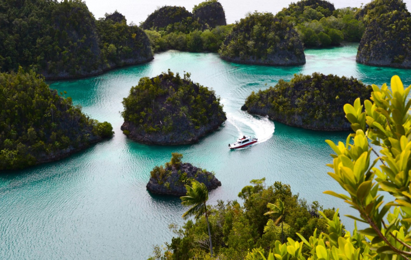 Et undervands eventyr, hvor alt er ægte: Raja Ampat som det sidste farverige naturreservat