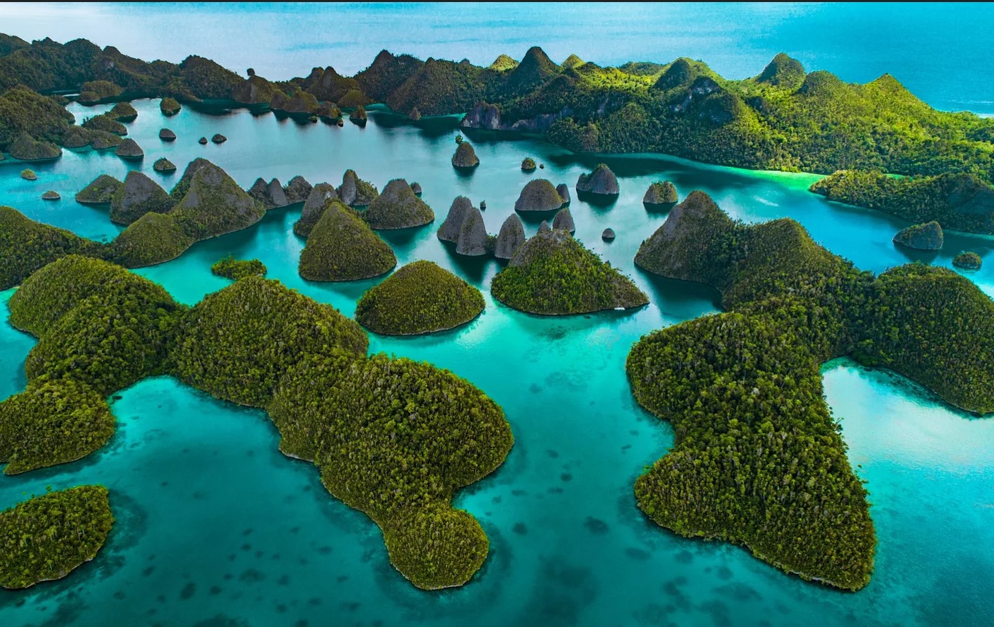 Et undervands eventyr, hvor alt er ægte: Raja Ampat som det sidste farverige naturreservat