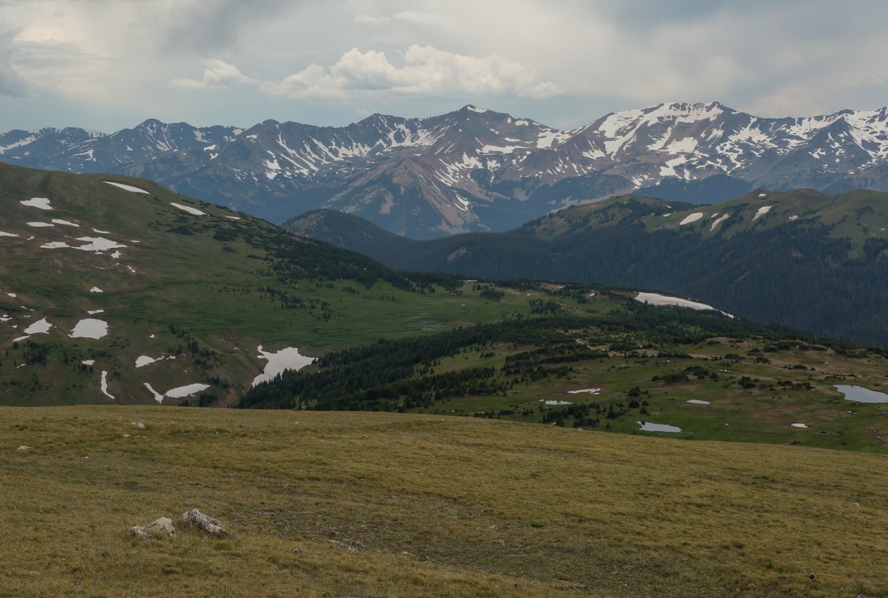 40.000 år alene: væsen fundet i Rocky Mountains, som overlevede istidens apokalypse