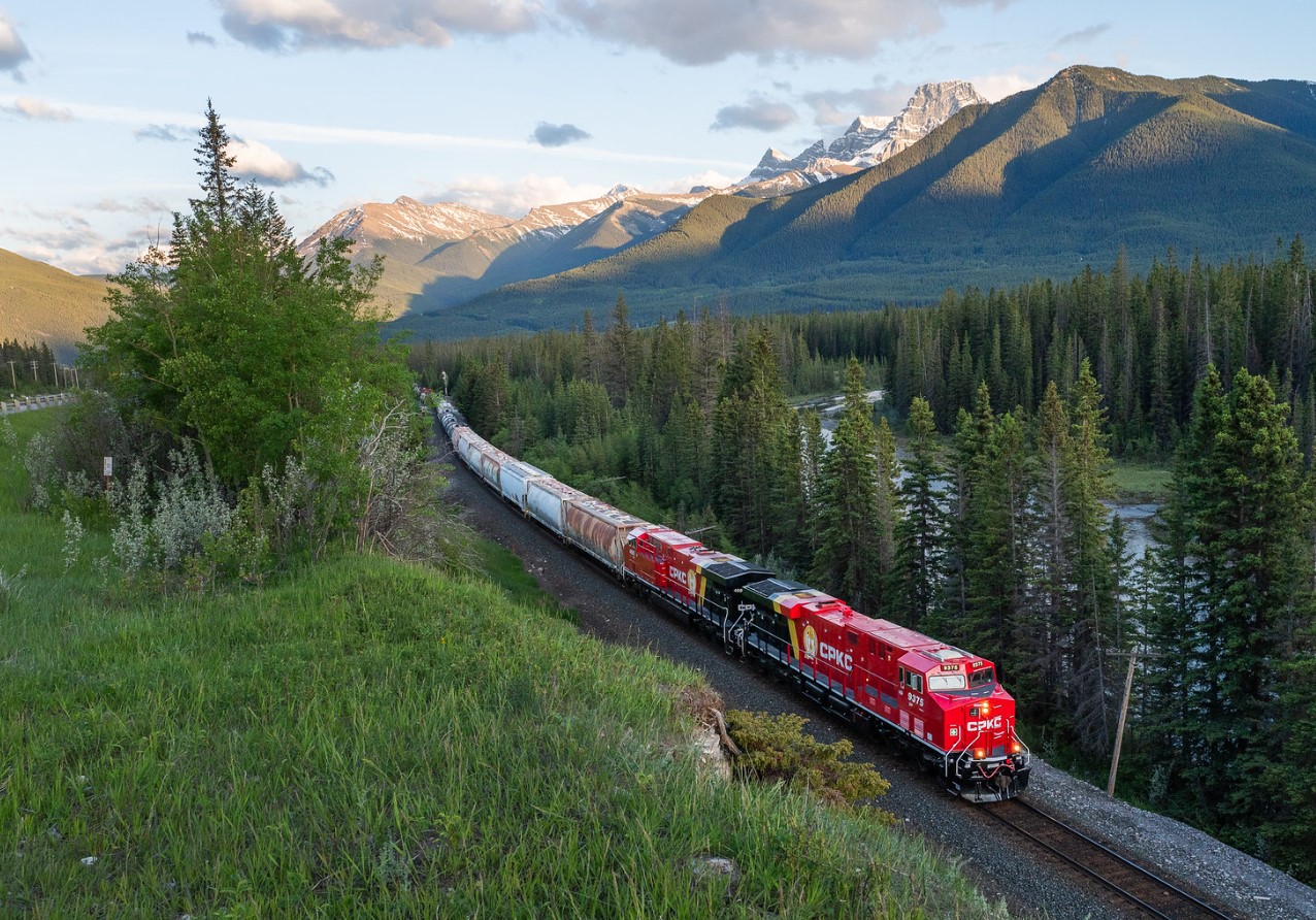 40.000 år alene: væsen fundet i Rocky Mountains, som overlevede istidens apokalypse