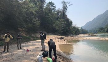 I junglen i Mexico har man fundet en forsvunden mayaby: hvad man har fundet