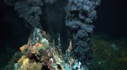 Stillehavet på randen: hvordan dybhavsminedrift påvirker undervandsgiganterne