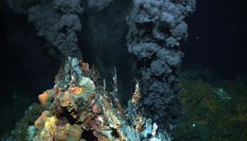 Stillehavet på randen: hvordan dybhavsminedrift påvirker undervandsgiganterne