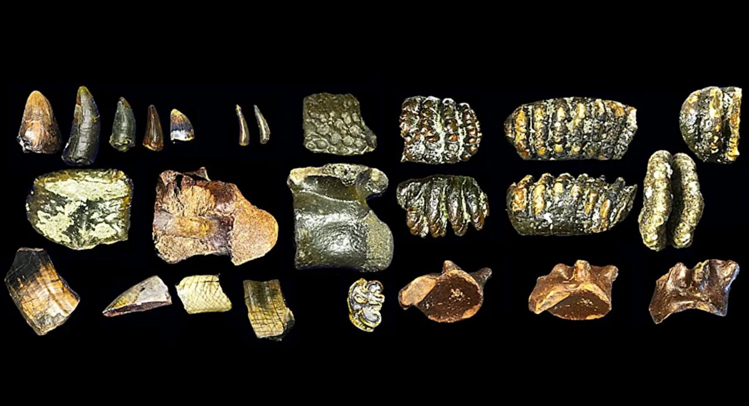 Forskere gør 140.000 år gammelt fund fra Asiens Atlantis