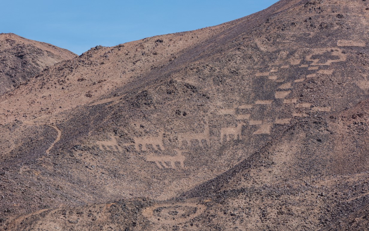 Tarapaca — giganten fra Atacama-ørkenen
