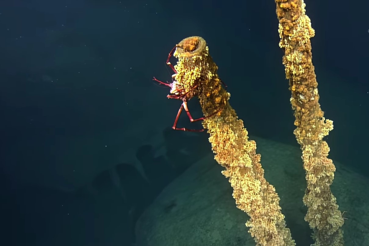 'Spøgelsesskib': forskere har fundet en destroyer, der sank under Anden Verdenskrig