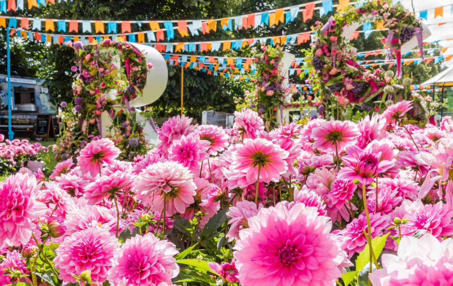 Hampton Hack vil sætte din have i brand med en ny blomsterpragt – her er præcis, hvordan du gør, så dine stauder blomstrer to gange