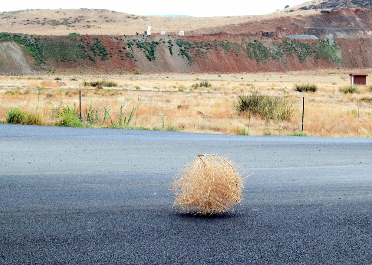 Tumbleweed: russisk immigrant, der erobrede det vilde vesten