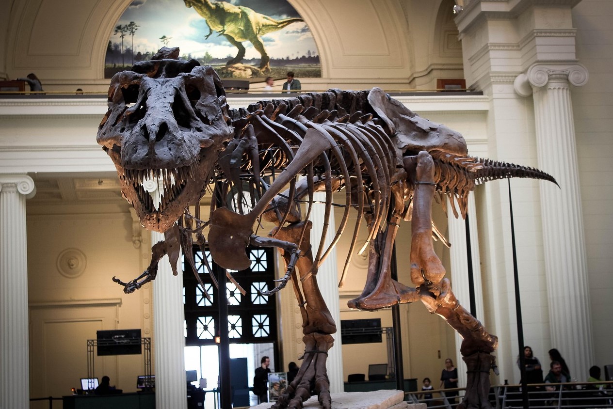 Tyrannosaurus spredte stor rædsel. Dinosaurerne var lammet af frygt. Der er beviser
