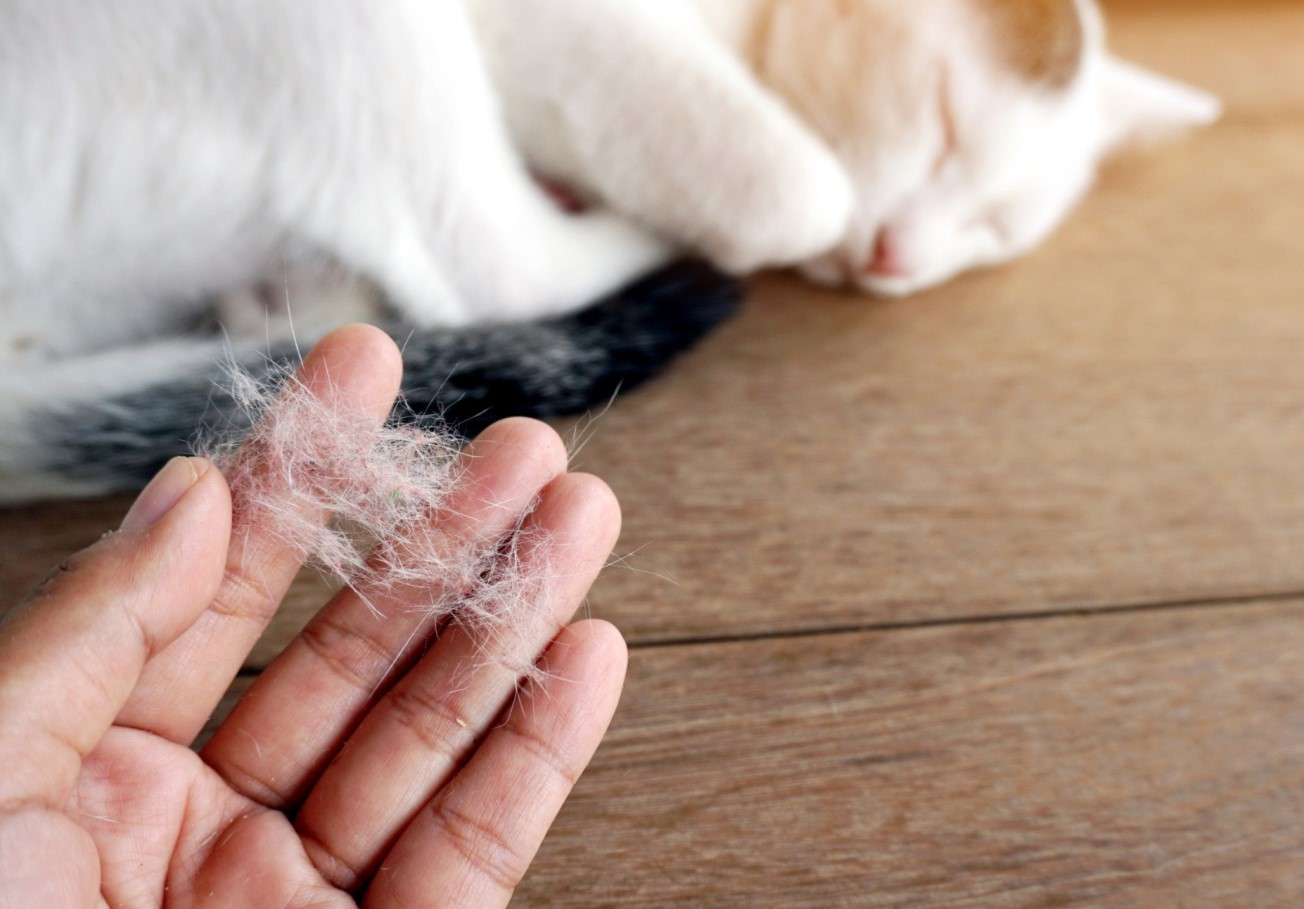 Uld forsvinder som ved et trylleslag: et simpelt beautybag-hack sparer tid og nerver