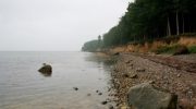 Vikingeskibe på bunden af en sø? Mærk historiens hvisken i Sydjyllands naturperle.