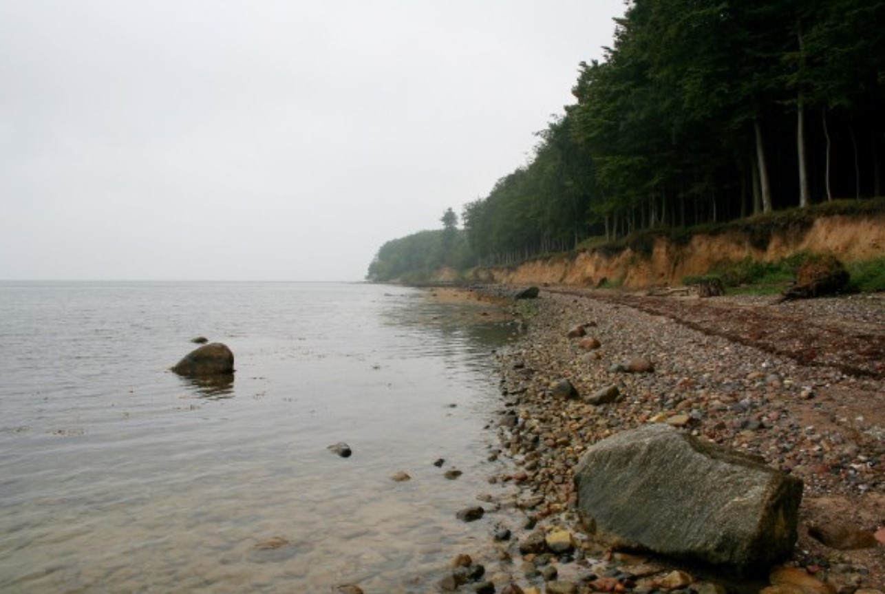 Vikingeskibe på bunden af en sø? Mærk historiens hvisken i Sydjyllands naturperle.