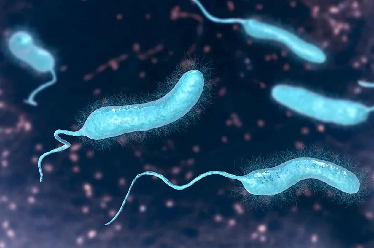 Mikrobiolog afslører, hvordan hun undgår E. coli og salmonella ved aldrig at spise disse fødevarer