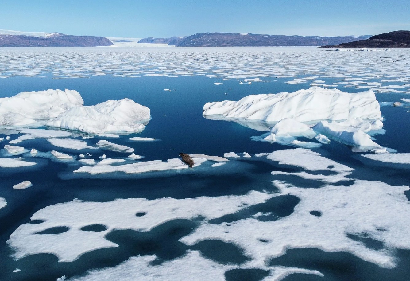 Der er et unormalt koldt område i Atlanterhavet. Sådan advarer det om en forestående katastrofe