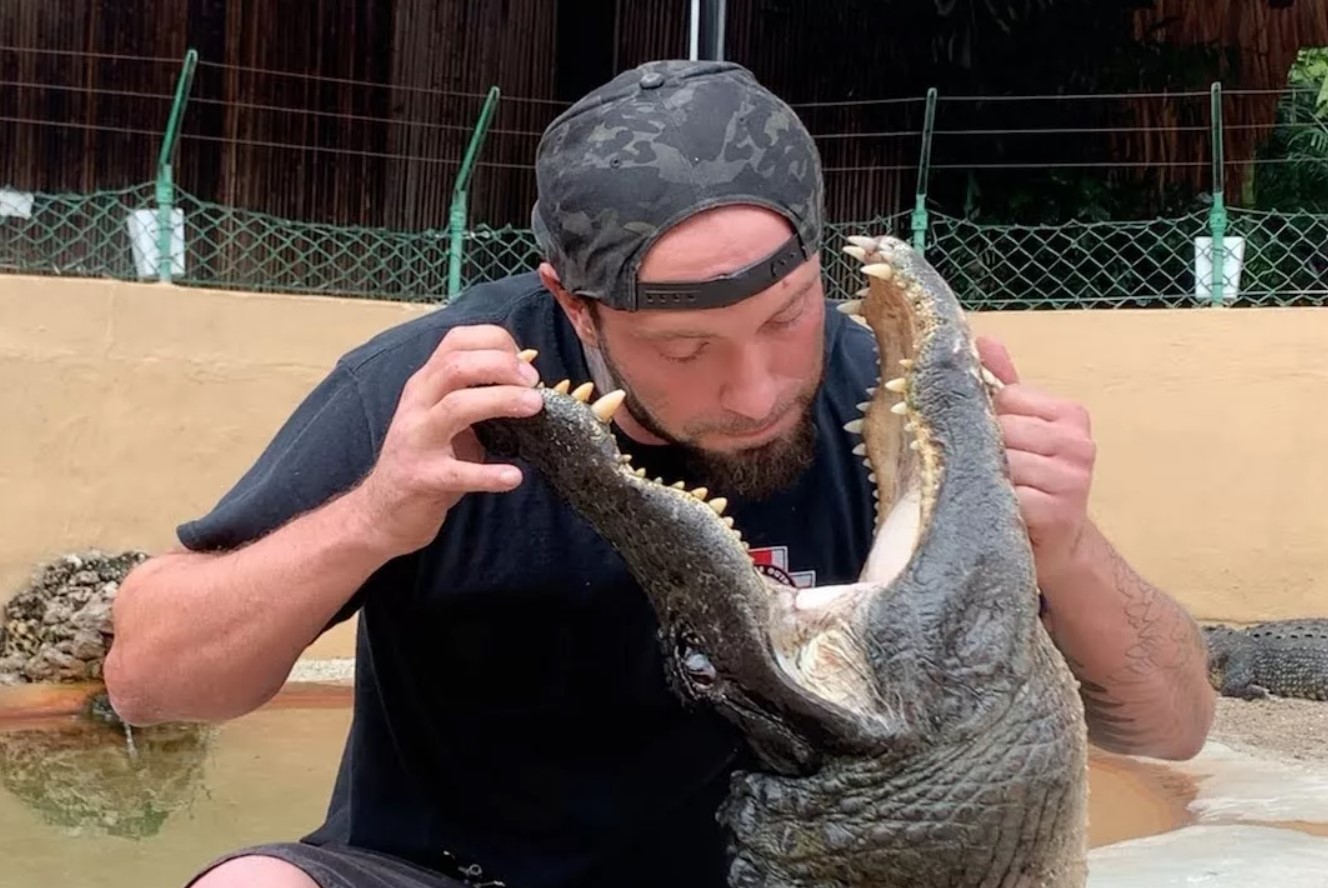 Undersøgelse viser, at 96 % af alligatorbid er resultatet af risikabel menneskelig adfærd