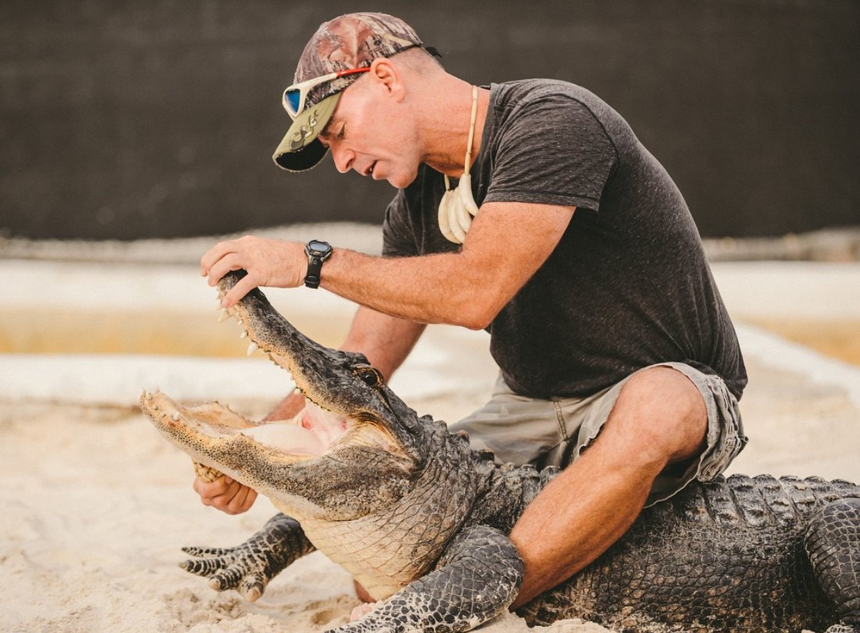 Undersøgelse viser, at 96 % af alligatorbid er resultatet af risikabel menneskelig adfærd