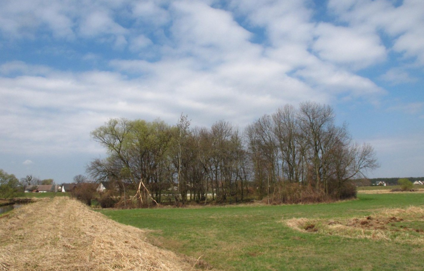 I en voldgrav ved en middelalderborg fandt man en 600 år gammel ametyst, 'værdig til en hertug'