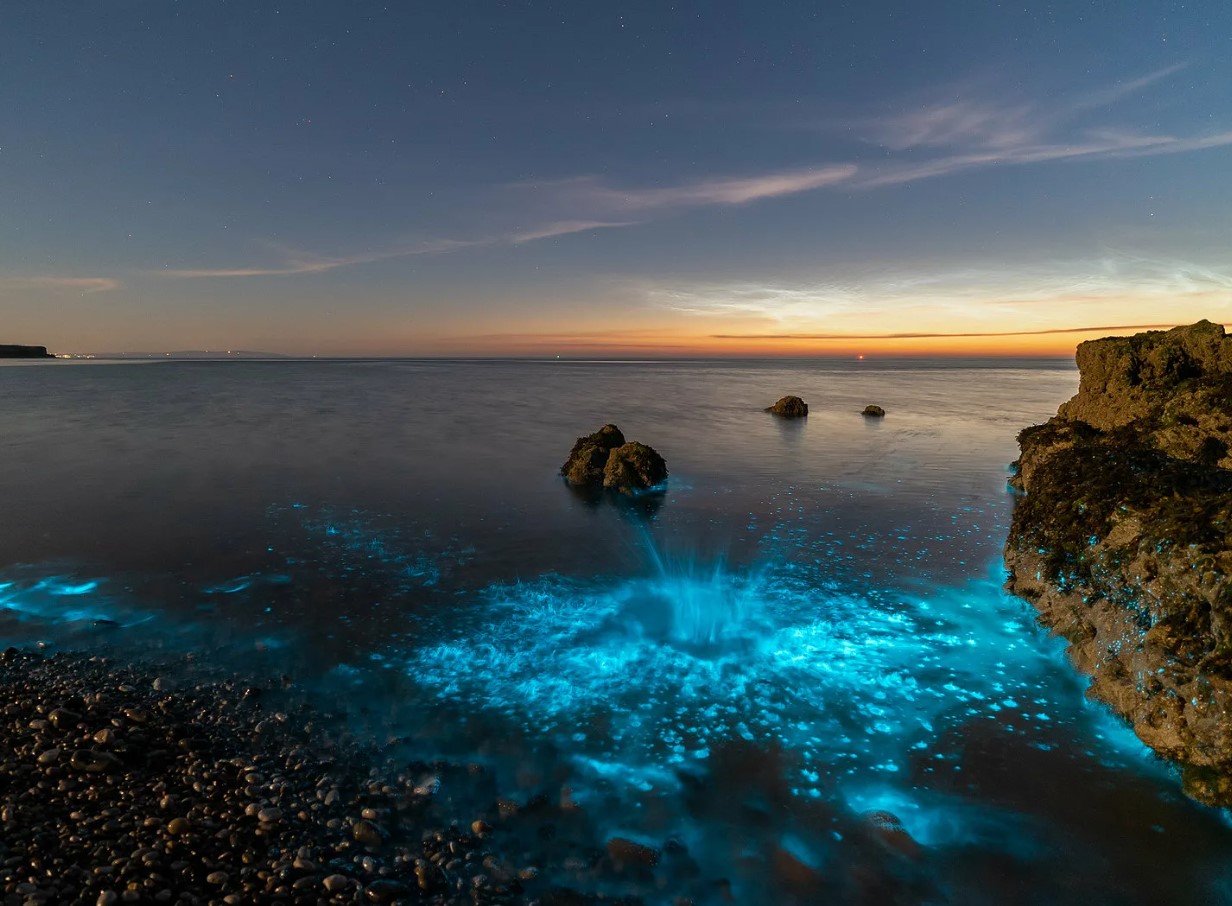 Her kan du se verdens mest lysende bioluminescerende tidevand