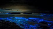 Her kan du se verdens mest lysende bioluminescerende tidevand