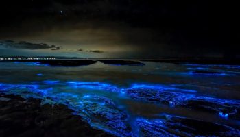 Her kan du se verdens mest lysende bioluminescerende tidevand